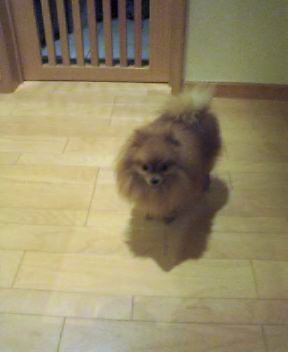 20040510_2059_0000.jpg