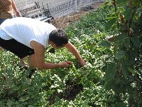 20040708-1.jpg